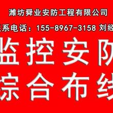 深耕果業沃土，科技引領未來——記榮成市果樹技術推廣站馬道分站的實踐與探索